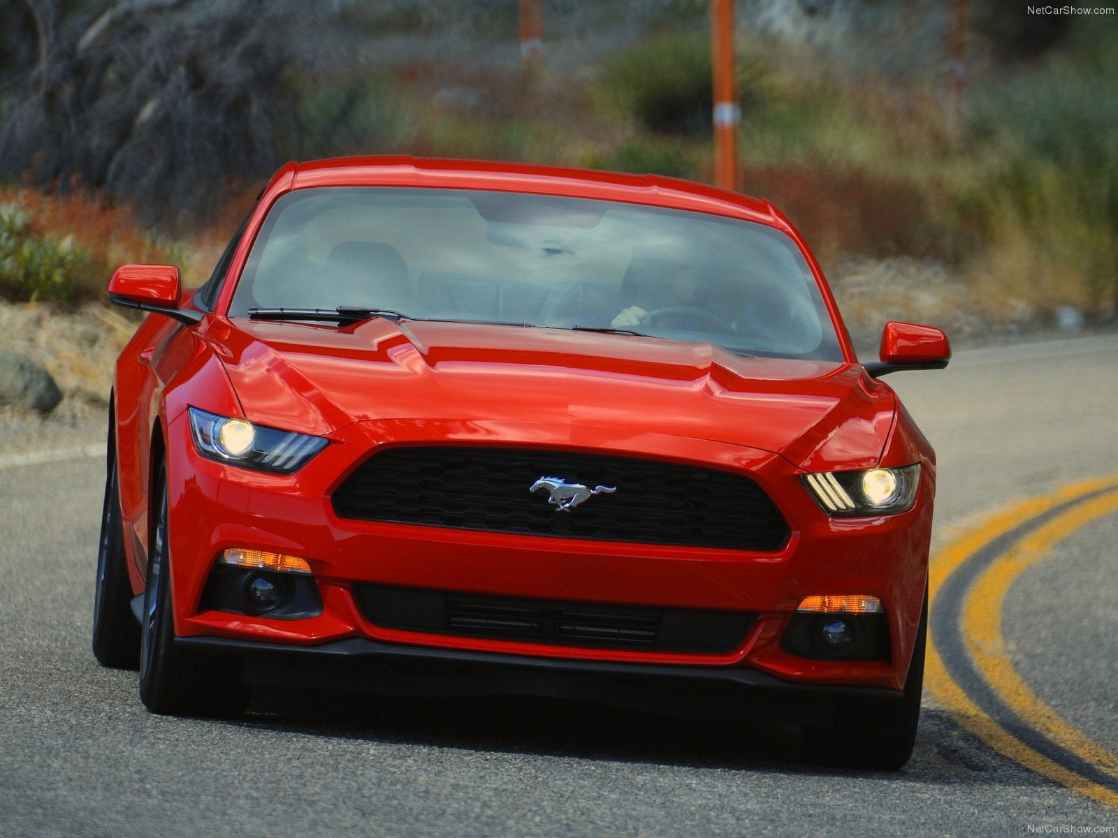 Hong Kong Automotive Industry ready to celebrate the new record. Hong Kong Automotive Industry