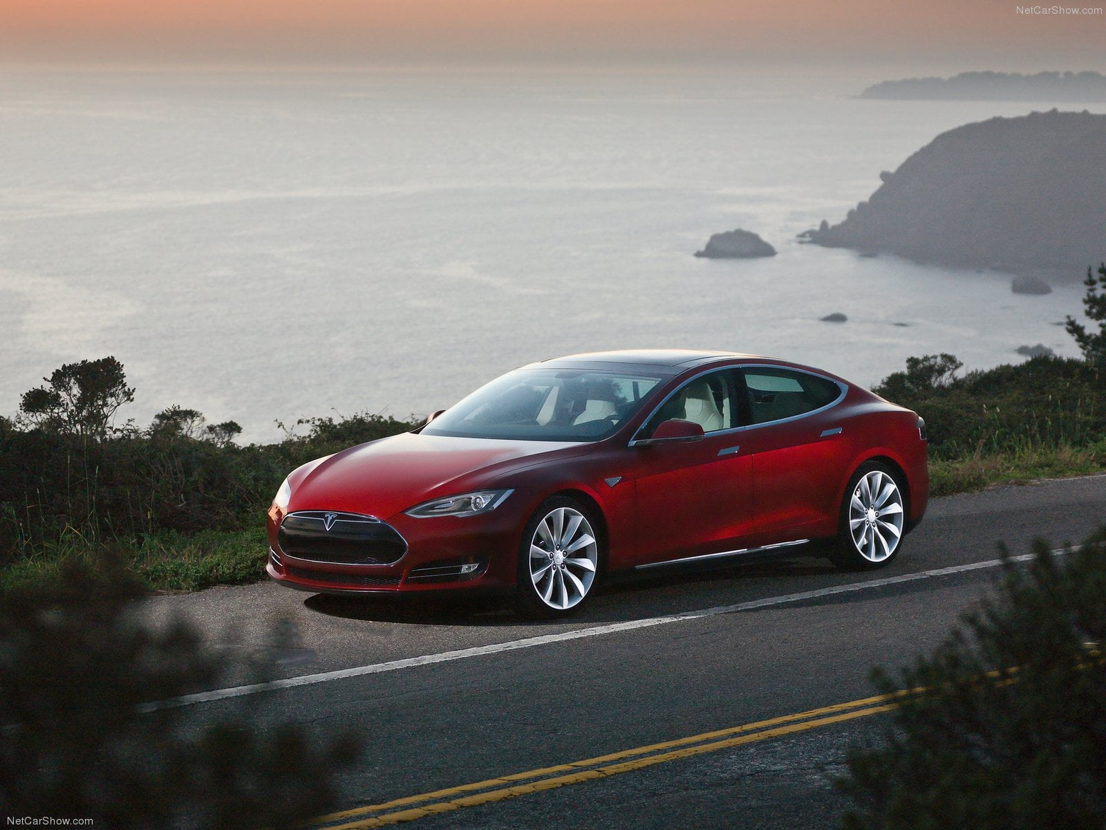 Norway Electric Vehicles segment at 13% and Hybrids at 8% in the 2014. Norway Electric Vehicles