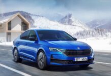 Macedonia 2024. Sales Lag Pre-Covid Figures, Renault And Hyundai Shine