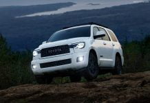 Lesotho 2020. Market falls 19% and Toyota keeps dominating sales Lesotho car market