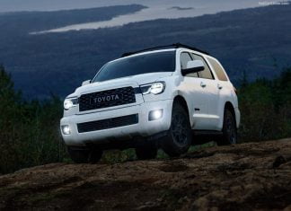 Lesotho 2020. Market falls 19% and Toyota keeps dominating sales Lesotho car market