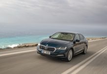 Estonia 2024. Audi And Peugeot Struggle As Car Market Contracts (-22.4%). Estonian Cars Market