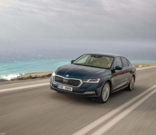 Estonia 2024. Audi And Peugeot Struggle As Car Market Contracts (-22.4%). Estonian Cars Market