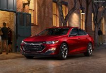 Zimbabwe 2020. Market remains almost flat (-1.3%) despite COVID-19 pandemic Zimbabwe car market