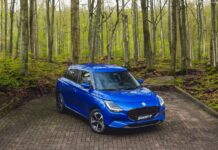 New Caledonia 2024. Social Turmoil Caused Vehicles Market Slowdown