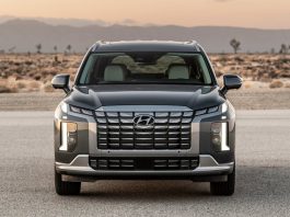 Netherlands 2022. Auto Market Reports 3rd Consecutive Yearly Loss The 2023 Hyundai Palisade