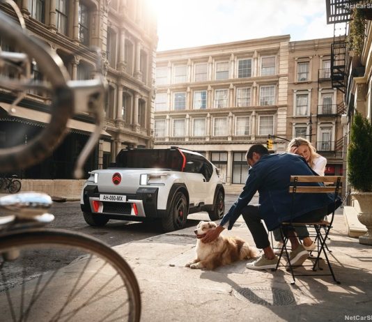 Netherlands Auto Market Data & Report