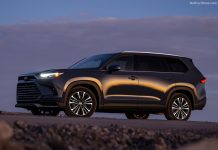 Bulgaria 2023. Ford Enters Top 10 (+84.4%) In Vehicle Market Up 71.1% In October The 2024 Toyota Grand Highlander Platinum