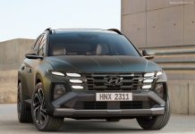 Ireland 2024. Auto Market Rebounds In October (+9.8%)