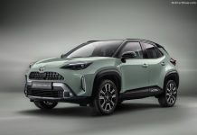 Poland 2024. Year-End Momentum Fuels Car Market Recovery