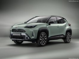 Poland 2024. Year-End Momentum Fuels Car Market Recovery