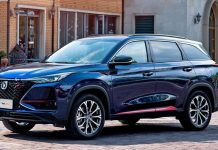 China 2024. EV’s Capture 30% Share, Outpacing Auto Sector’s 3.8% Growth