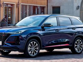 China 2024. EV’s Capture 30% Share, Outpacing Auto Sector’s 3.8% Growth