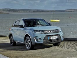 Tunisia 2023. Suzuki Was The Star In A Flat Industry