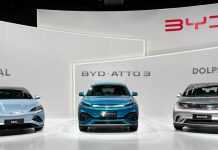 Brazil 2024. BYD Cracks The Top 10 Amid Vehicle Market Expansion