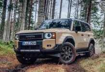 Jordan 2024. Sales Reach 7-Year High, Changan and Lexus Shine