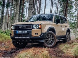 Jordan 2024. Sales Reach 7-Year High, Changan and Lexus Shine