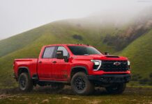 Uzbekistan 2025. Market Downturn Opens Up Space For BYD and Haval To Climb The Rankings