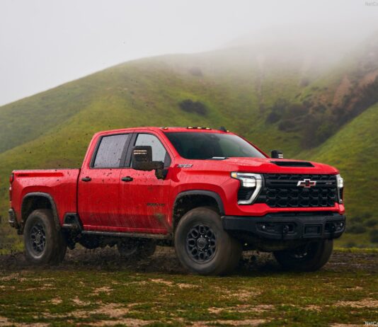 Uzbekistan 2025. Market Downturn Opens Up Space For BYD and Haval To Climb The Rankings