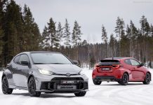 Denmark 2024. Tesla Loses Groud In Booming EV Segment