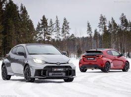 Denmark 2024. Tesla Loses Groud In Booming EV Segment