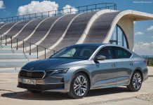 Croatia 2024. Skoda Ranks 1st As Car Market Expands In November