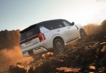 UAE 2024. Tesla Leads EV Boom As Competition In The Top 10 Intensifies