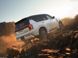 UAE 2024. Tesla Leads EV Boom As Competition In The Top 10 Intensifies