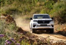 Lebanon 2024. Vehicle Market Rises Steadily But Still Trails Pre-Covid Levels