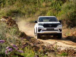 Lebanon 2024. Vehicle Market Rises Steadily But Still Trails Pre-Covid Levels