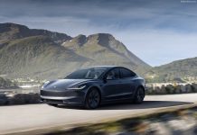 Norway 2024. Resilient Despite Setbacks, EV Market Rises Steadily