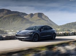 Norway 2024. Resilient Despite Setbacks, EV Market Rises Steadily