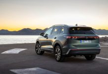 Germany 2024. EV Sales Slip, Hitting Tesla And Audi Hard