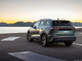 Germany 2024. EV Sales Slip, Hitting Tesla And Audi Hard