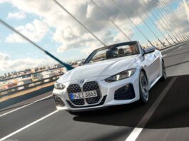 Belgium 2025. EVs Defy Market Contraction Despite Tesla’s Downfall