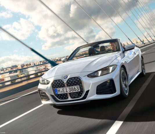 Belgium 2025. EVs Defy Market Contraction Despite Tesla’s Downfall