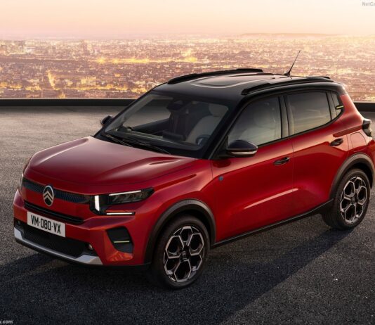 France 2025. Best Selling Cars Ranking – The Top 50