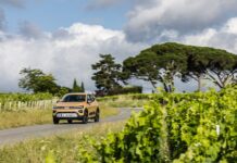 Italy 2025. EVs Experience Impressive Surge, Fiat And BYD Lead The Rankings