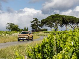 Italy 2025. EVs Experience Impressive Surge, Fiat And BYD Lead The Rankings