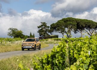 Italy 2025. EVs Experience Impressive Surge, Fiat And BYD Lead The Rankings