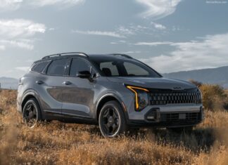 South Korea 2025.Tesla Resurges Among Leading Brands, Rides EV Momentum Past 2024 Figures