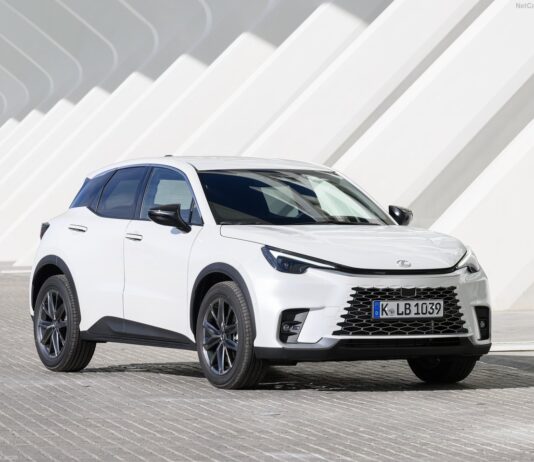 Poland 2025. Q2 Tally Stays Positive But EV Sector Fails To Keep Up