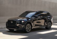 Australia 2025. Sales Struggle To Leave Stagnation Behind, Growth Stays Around 0%