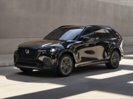 Australia 2025. Sales Struggle To Leave Stagnation Behind, Growth Stays Around 0%