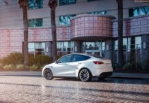 Israel 2024. Vehicle Market Stalls But EV Brands Ride Momentum