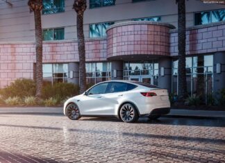 Israel 2024. Vehicle Market Stalls But EV Brands Ride Momentum