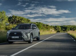 Argentina 2025. Chevrolet Leads In Growth Riding Year-Long Momentum