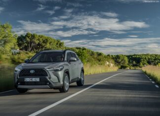 Argentina 2025. Chevrolet Leads In Growth Riding Year-Long Momentum