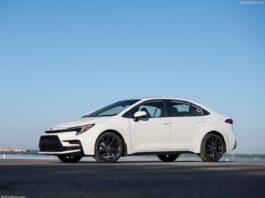 Finland 2025. Volkswagen Surges Amid Market Struggle And Secures EV Leadership