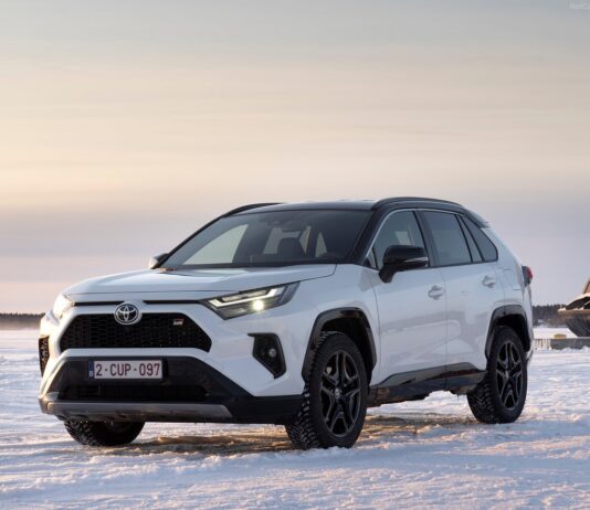 World Best Selling Car 2025. Toyota RAV4 Edges Out the Model Y In 1st